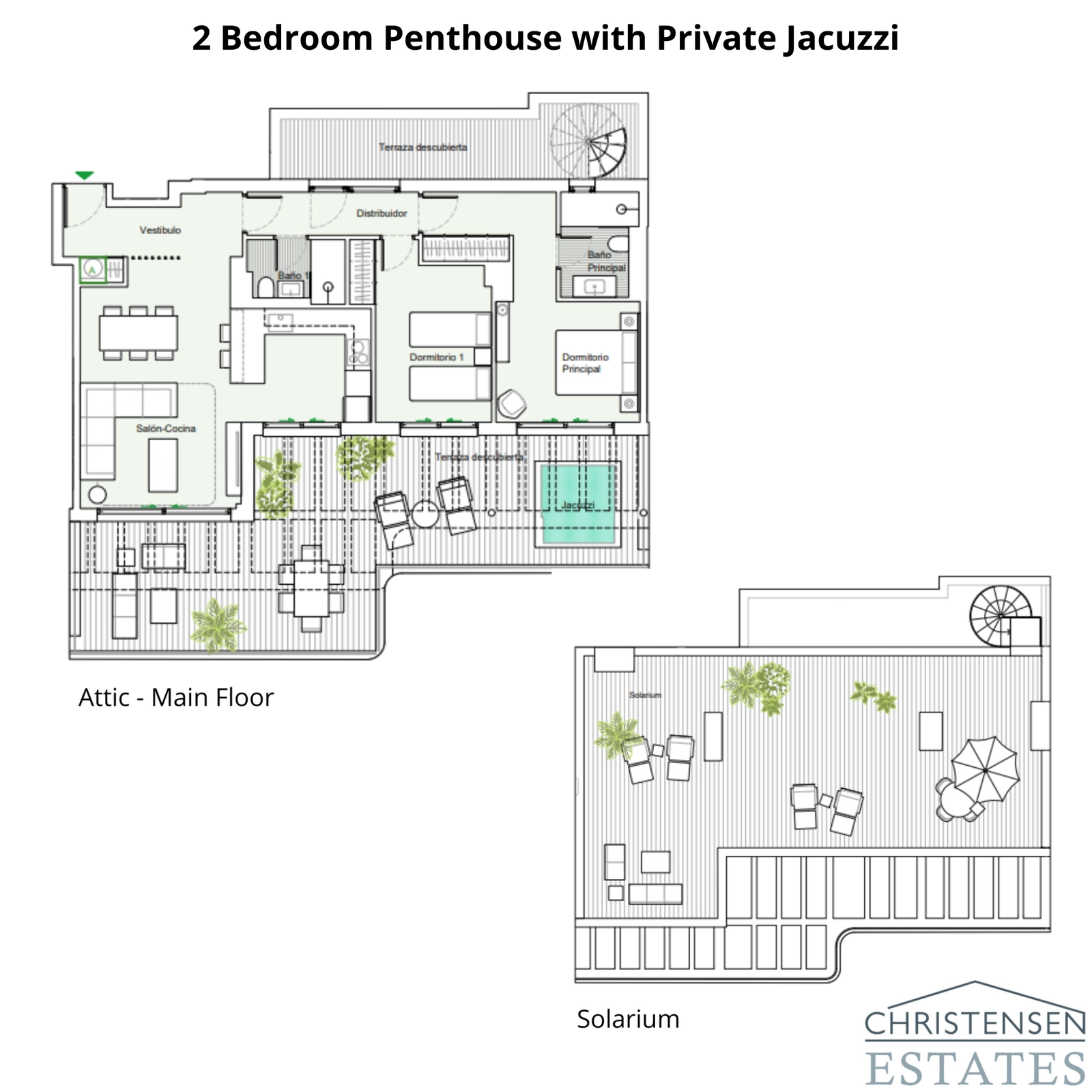 The exclusive two-bedroom penthouse layout, featuring a large terrace and a private rooftop solarium.