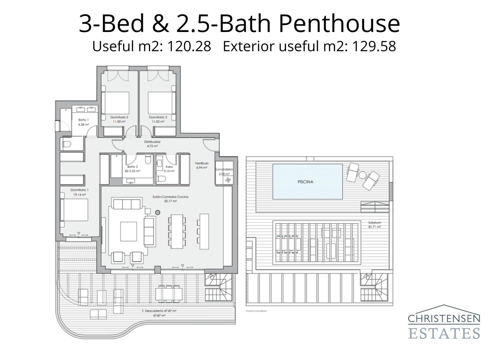 The layout for this three-bedroom penthouse reveals a two-level design with an extensive rooftop solarium and private pool.