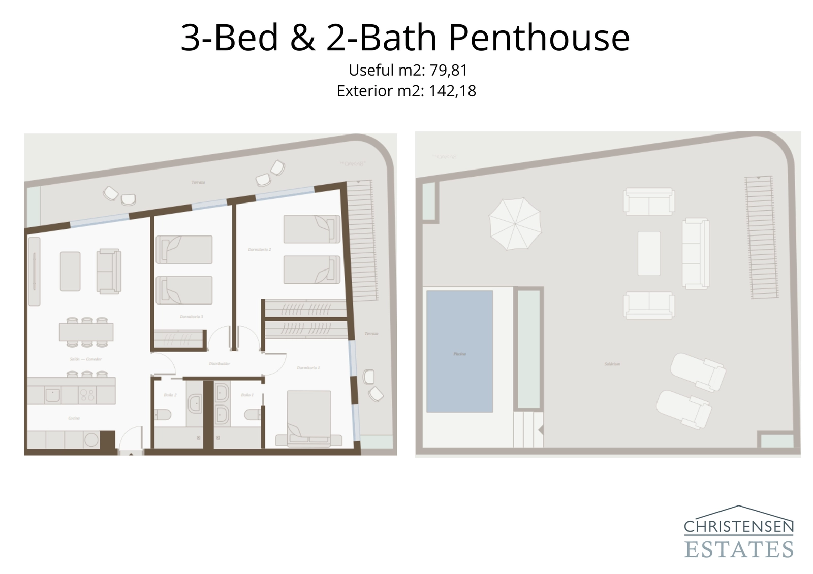This expansive three-bedroom penthouse layout features a vast private rooftop solarium and pool, creating an exceptional living experience.