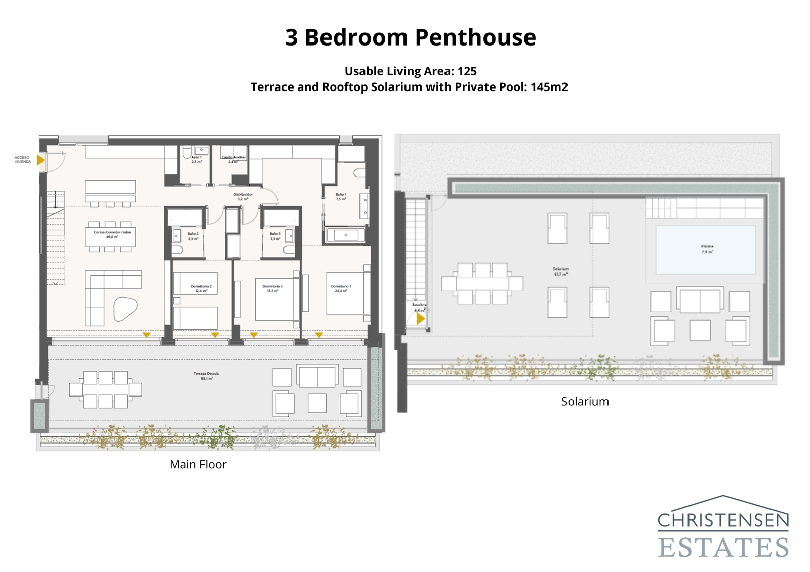 The penthouse floor plan displays a magnificent two-level design, with a stunning rooftop solarium and private pool for ultimate luxury living.
